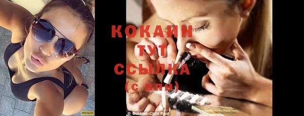 дживик Абаза