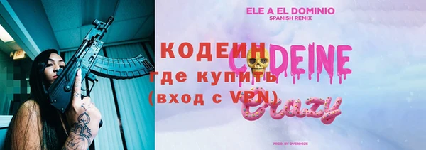 дживик Абаза