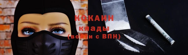 дживик Абаза