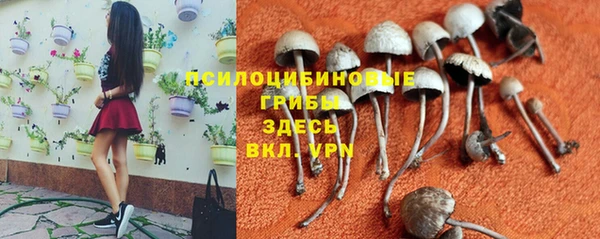 a pvp Абдулино